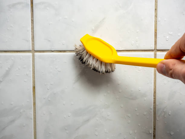 Best Post-Remediation Services in Shawneeland, VA