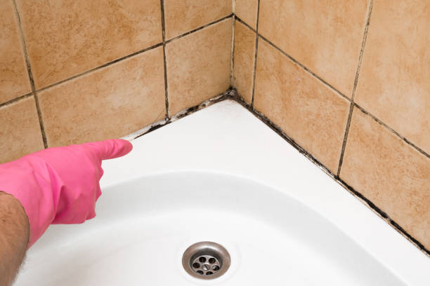 Best Bathroom Mold Remediation in Shawneeland, VA